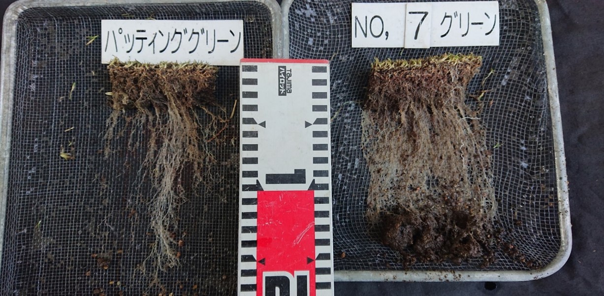 株式会社マグネッツ