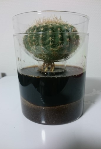 株式会社マグネッツ