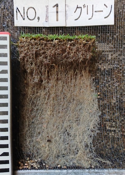 株式会社マグネッツ