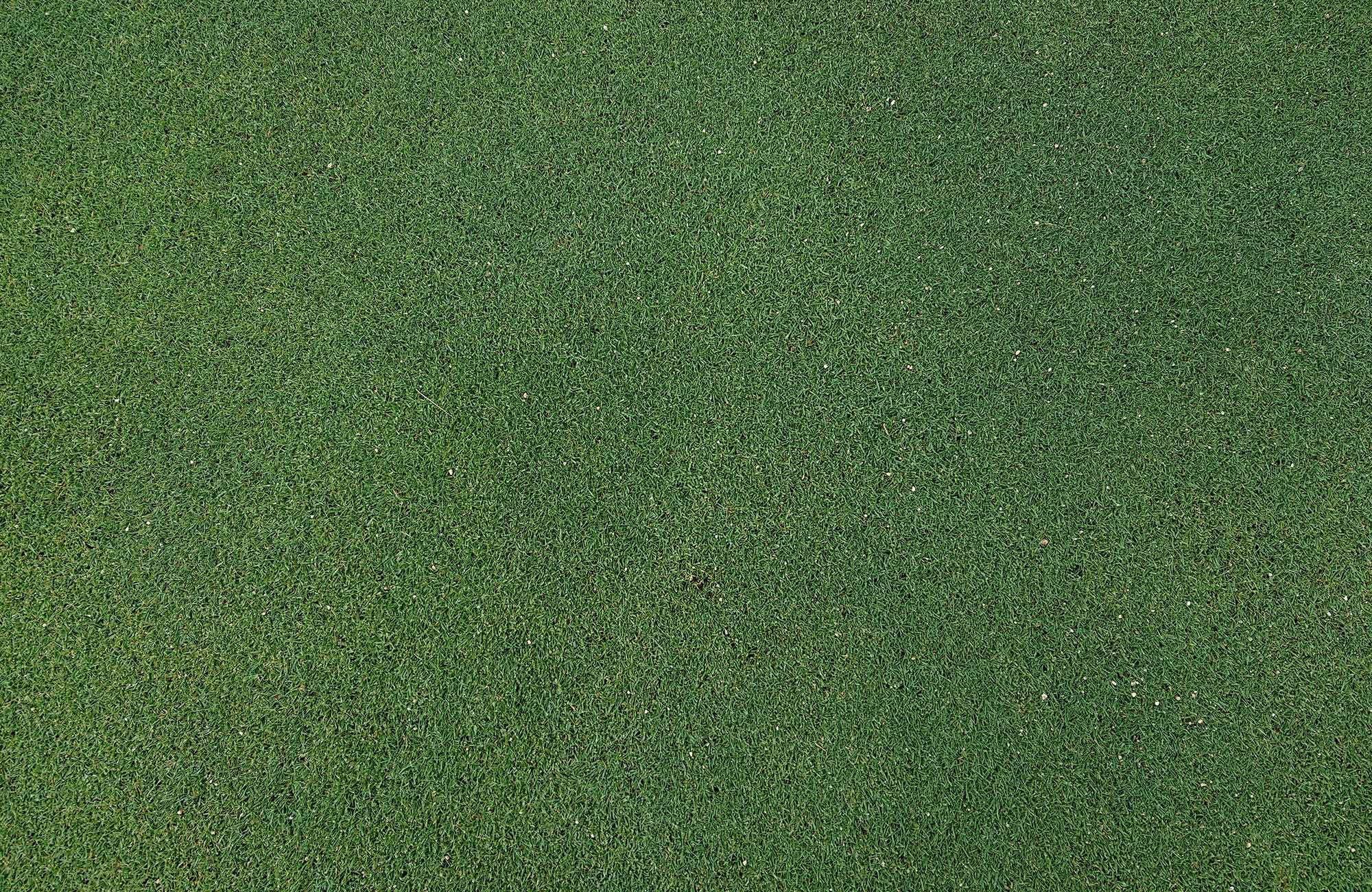 株式会社マグネッツ